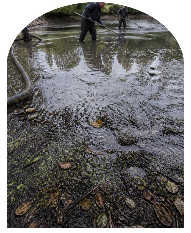 Очистка пруда в Оренбурге от ила мусора и водорослей с вывозом